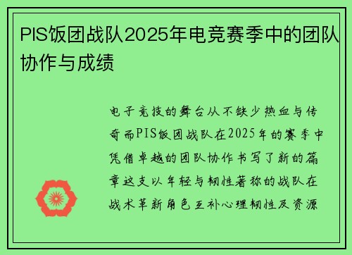 PIS饭团战队2025年电竞赛季中的团队协作与成绩