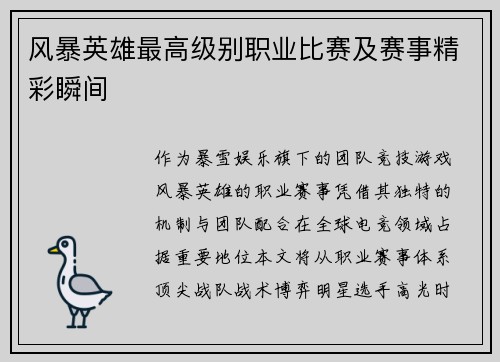 风暴英雄最高级别职业比赛及赛事精彩瞬间